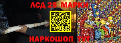 прущие грибы Апшеронск