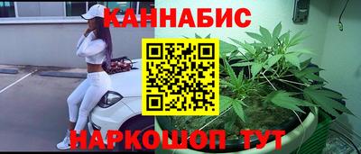 прущие грибы Апшеронск